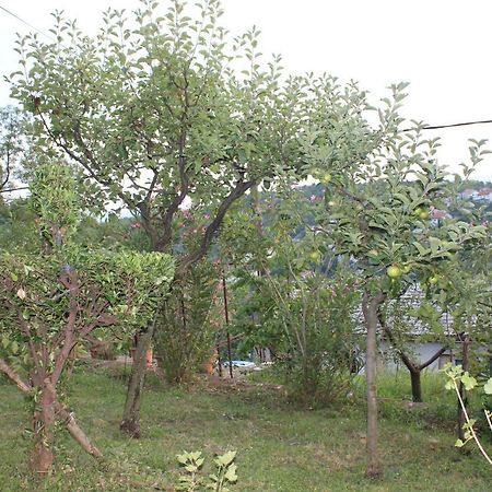 Tutnovo 13 Apartment Рийека Екстериор снимка